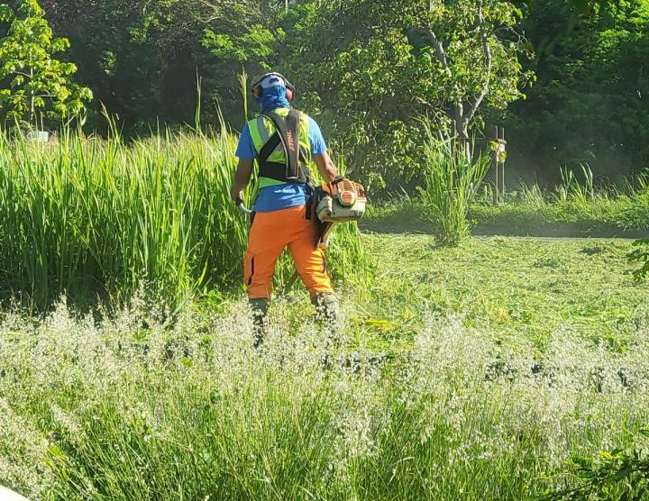 Nous vous garantissons un service de désherbage fiable, rapide et soigné.